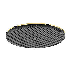 hansgrohe Raindance Alive S Hovedbruser 300 1jet pol guld-optik PVD