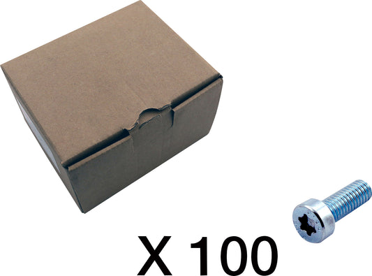100 Cylinderskrue, torx
