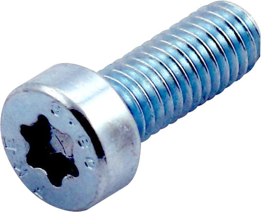 100 Cylinderskrue, torx, lavt hoved