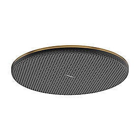 hansgrohe Raindance Alive S Hovedbruser 300 1jet børst. bronze PVD